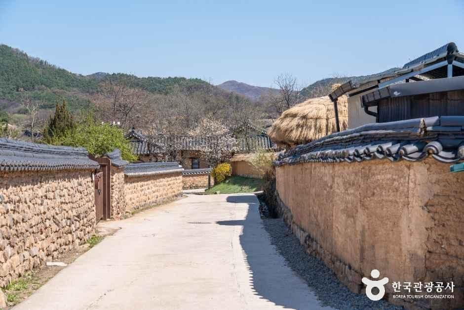 안동 하회마을 · 부석사 — 고택과 은행나무길 사진 3