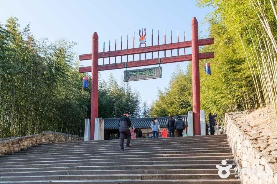 담양 죽녹원 · 메타세쿼이아길 — 초록과 단풍이 만나는 길 사진 1