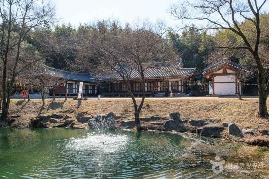 담양 죽녹원 · 메타세쿼이아길 — 초록과 단풍이 만나는 길 사진 3